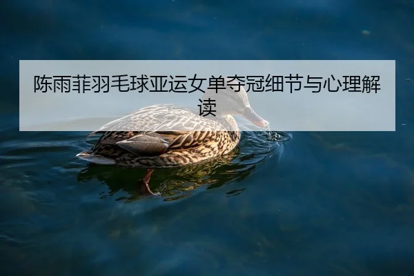 陈雨菲羽毛球亚运女单夺冠细节与心理解读