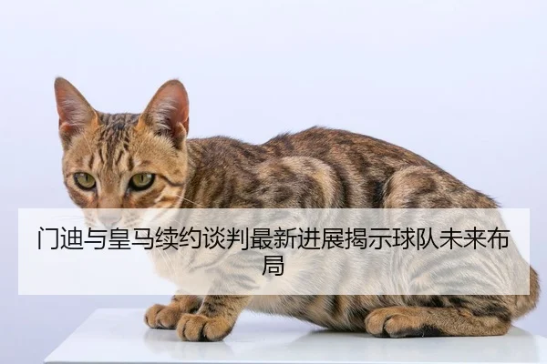 门迪与皇马续约谈判最新进展揭示球队未来布局